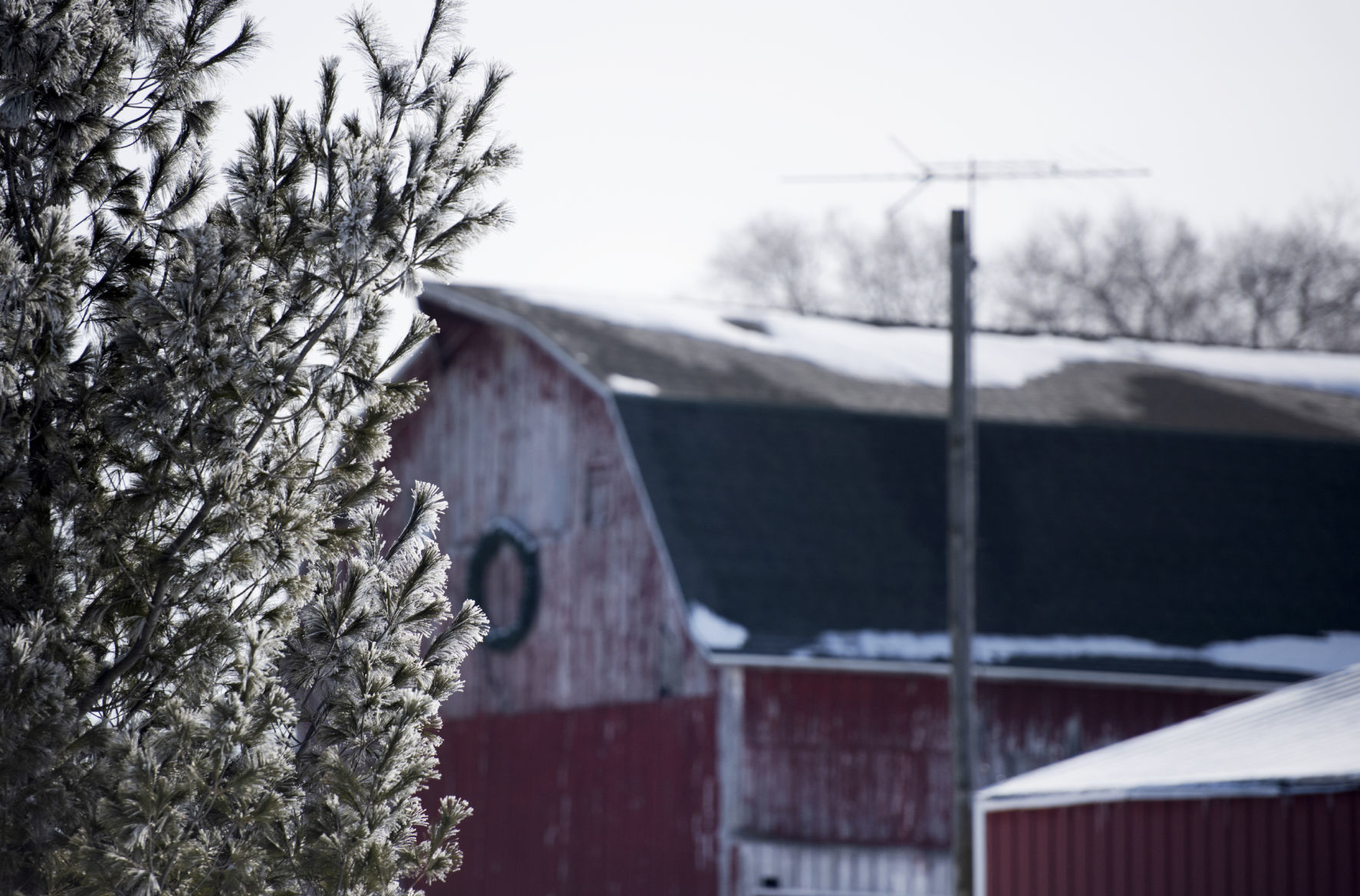 190220_FROST05